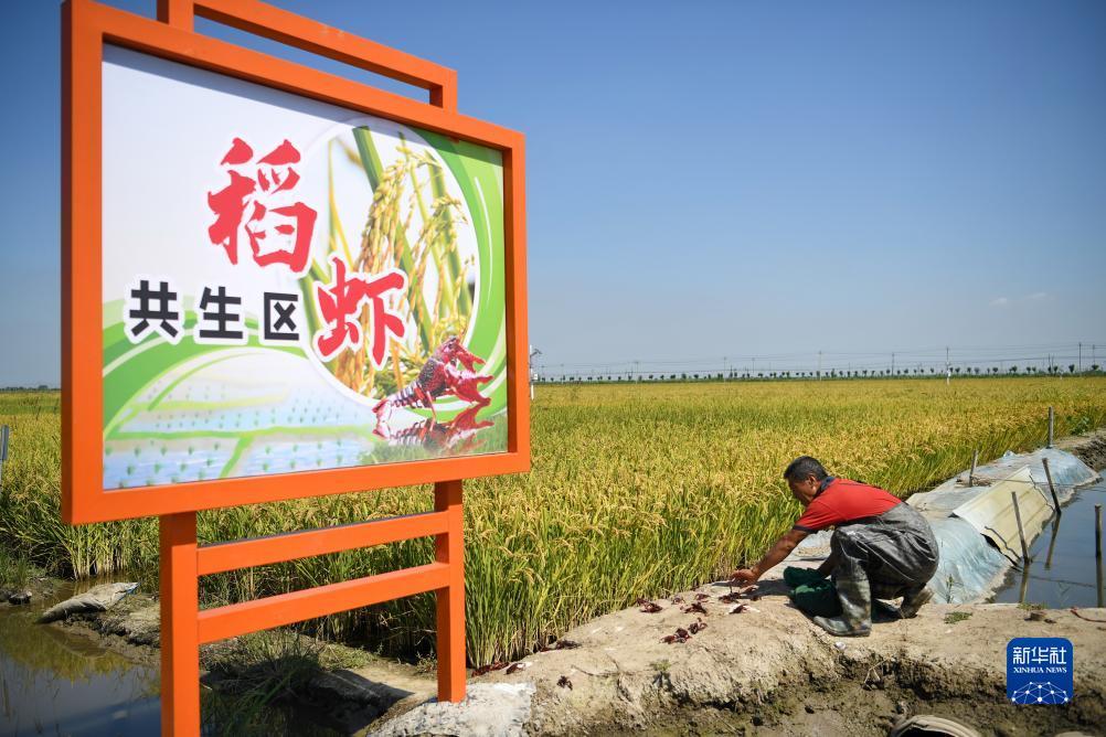 葡京直营网